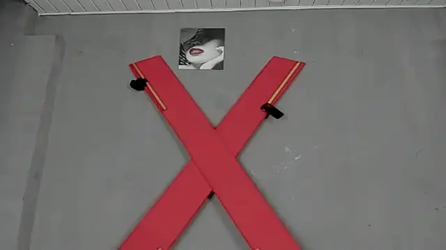 [21 Jan 02:29] Private Show - video by wildconnection cam model