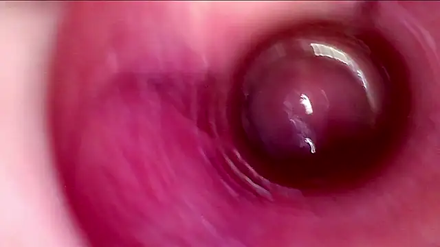 GAPE BIGPUSSY ENDOSCOPIO - video av karol_kane cam-modell