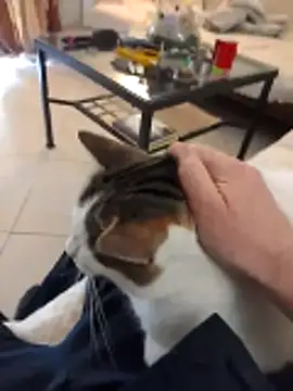 Share the love .... - فيديو من truble78 موديل الكام