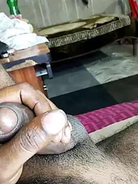 Cock hazaribagh