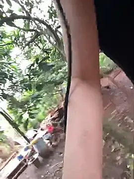 on the tree 1