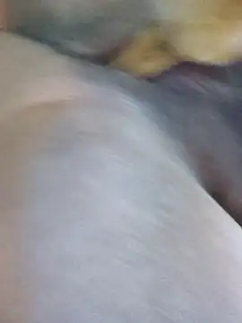 Chapati Katta vaichu - video by Shilpa-Tamil cam model