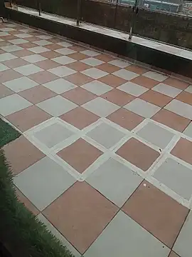 Doggy Fuck Till cum