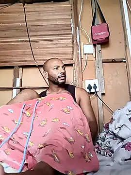 Quick action - video by Camodick cam model