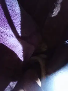 Public Show(cum play) - video by Fulldickcummer cam model