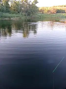 [13 Jul 19:14] Public Show– SweetieAndLollipop kameramodell videója