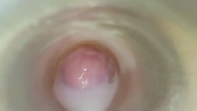 ENDOSCOPIO MY PUSSY MY MOUTH JOI