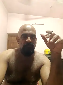 Hard Dick Cock