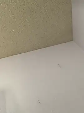 LUSH FUCK CREAMPIE 💦 - video by bbwbelle cam model