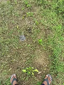 Susu video - Video von PlayfulBoy_01 Cam-Model