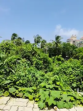 royalbhabi123