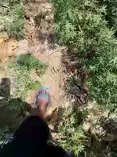 Full naked and big cum in feet Private Show - Vídeo de bigh96dik, modelo de vídeos