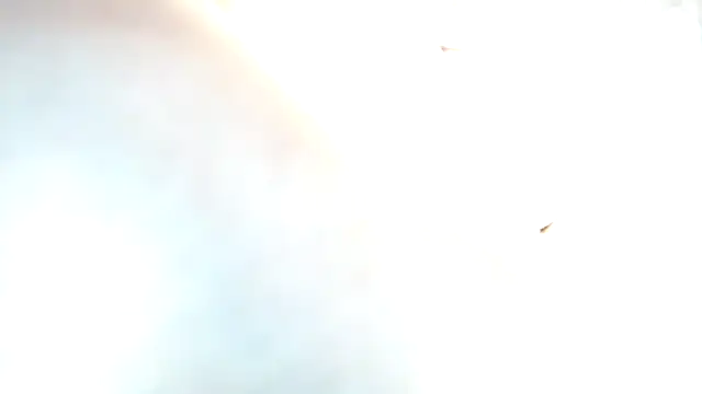 crazy fucking  prolapse