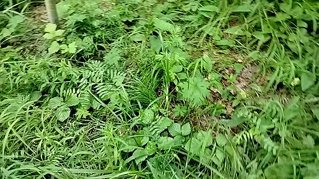 [13 Jul 15:13] completely naked - Video von Siberia-Taiga Cam-Model