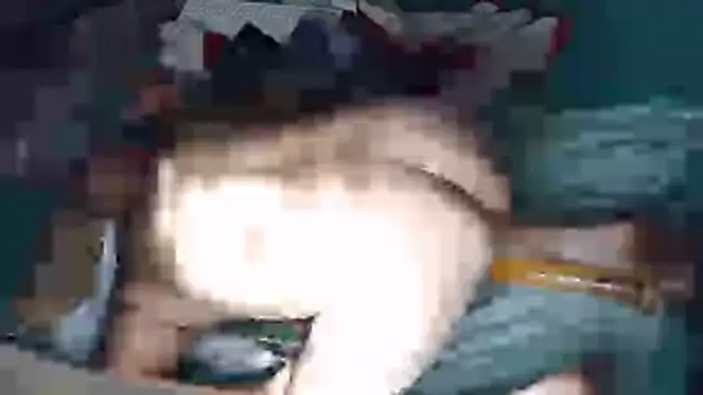 [4 Nov 10:56] Public Show - video van k-dong cam-model