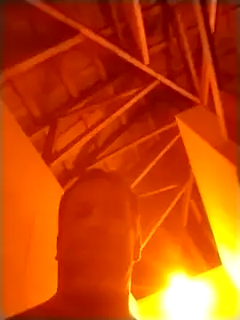 [29 Jun 06:56] Public Show - video by AceticPinscher cam model