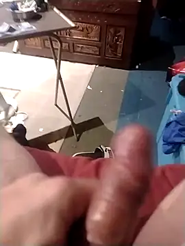 [4 Jan 04:04] Public Show - video by AceticPinscher cam model