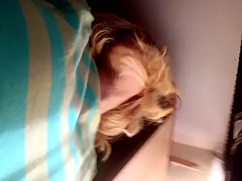 [27 Dec 09:20] Private Show－カメラキャストのNainagupta7890の動画