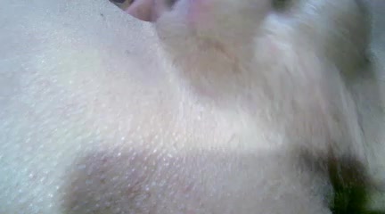 [4 Aug 01:02] Private Show - video av annitsx cam model