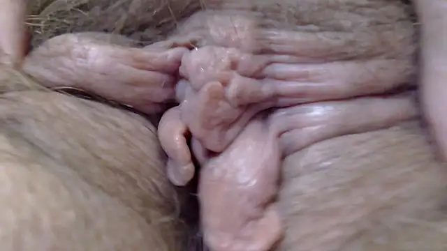 pussy