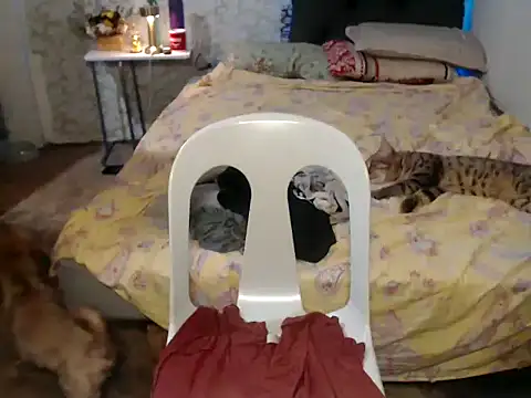 [29 Jun 21:59] Private Show - відео від вебкаммоделі Hebefemme