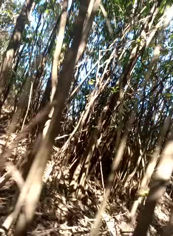 [6 Nov 15:37] Private Show - video by mariamac420 cam model