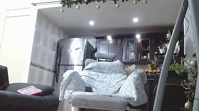 [3 Jan 17:27] Public Show - video by Diosasky cam model