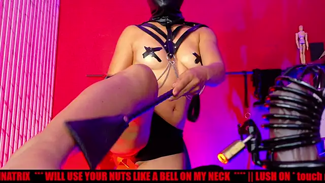 👑🔥⚠️ ATTENTION, MY SUBJECTS! ⚠️🔥👑 🖤 I don't want excuses... I want results. 🖤 📲✨Follow me - Vídeo de MistressSlut1, modelo de vídeos