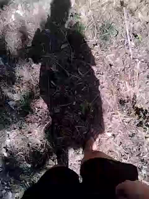 Esterno pompino a . Sconosciuto - video BAMBI047 kameramallilta