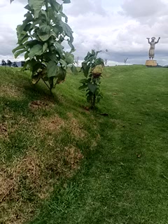 PVT in public - ADRENALINE - Vídeo de MARILYNMADELENAKOVANOVA, modelo de vídeos