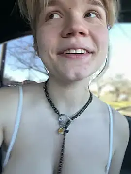 ass play in car