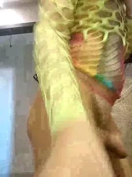 [4 Apr 17:47] Private Show - vídeo de la modelo de cam malak_spicy