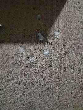 Erbod _Johnny - video by erbod_Johnny cam model