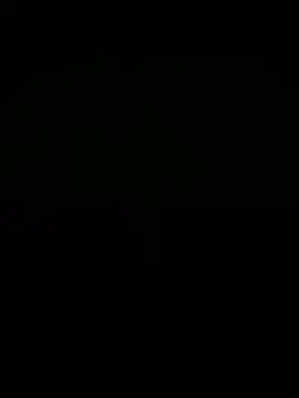 12 Mar 2026 – video af ft2022W cam-model