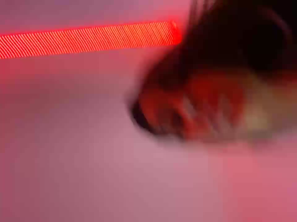 Anal all naked - video by Mau_White cam model