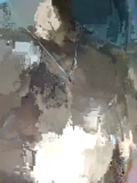 [22 Feb 05:50] Public Show－カメラキャストのrounakhunkの動画